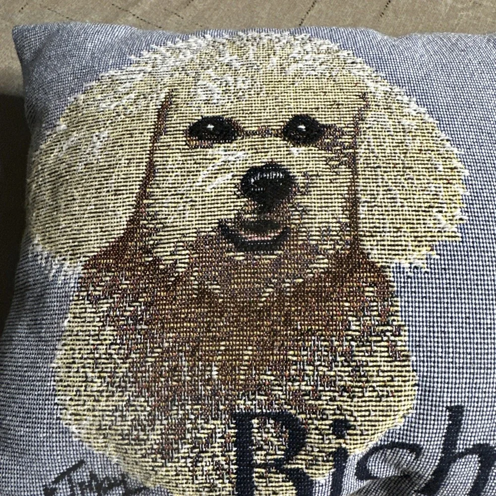 Bichon Frise Robert J May 11